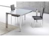 Mesa Acronem I