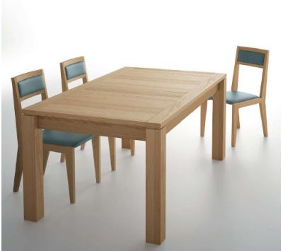 EXTENSIBLE TABLE ATRAM