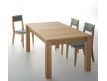 EXTENSIBLE TABLE ATRAM