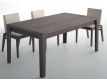 EXTENSIBLE TABLE ECNAGELE