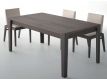 EXTENSIBLE TABLE ECNAGELE