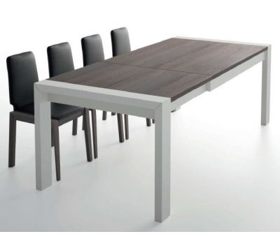 EXTENSIBLE TABLE ARTNIS