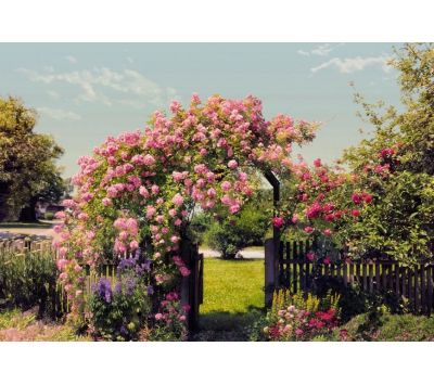 Fotomural Rose Garden