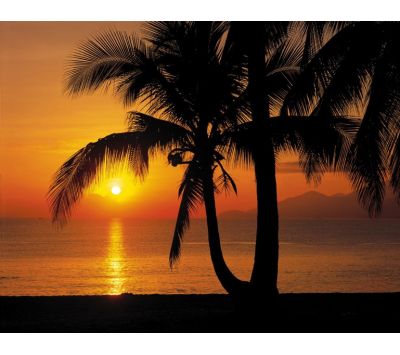 Photomural Palmy Beach Sunrise