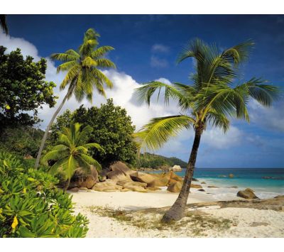 Photomural Praslin