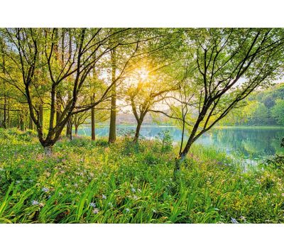 Fotomural Spring Lake