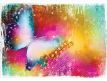 Photomural Rainbow Butterfly