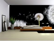 Photomural Dandelions