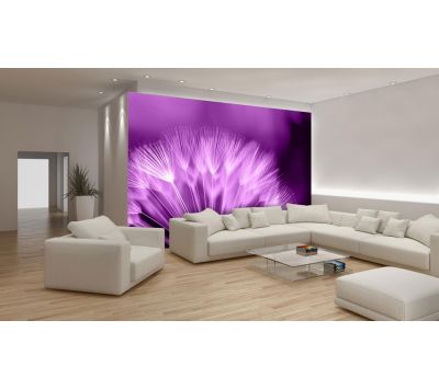 Photomural Piurple Dandelion