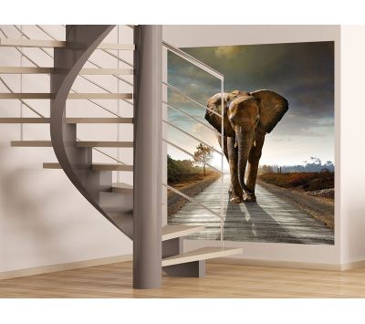 Photomural Elefante