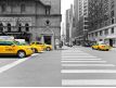 Photomural Taxis