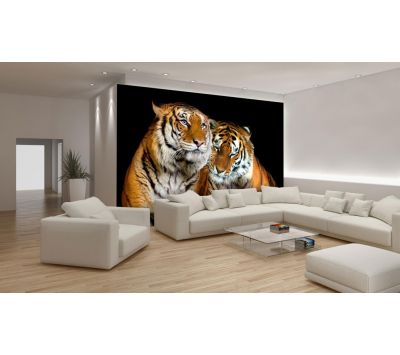 Photomural Tigers