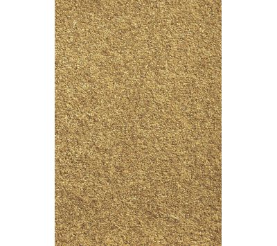 RUG SEDUCTION 52