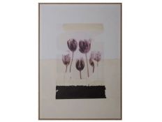 QUADRO TULIPS