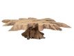 NATURAL TEAK ROOT COFFEE TABLE