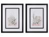 FRAME SET MELQUIOR