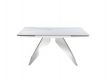 EXTENSIBLE TABLE BIG