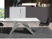 EXTENSIBLE TABLE BIG