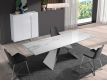 EXTENSIBLE TABLE BIG