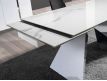 EXTENSIBLE TABLE BIG