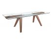 EXTENSIBLE TABLE BIU