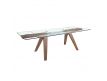 EXTENSIBLE TABLE BIU