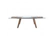 EXTENSIBLE TABLE BIU