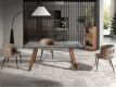 EXTENSIBLE TABLE BIU