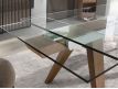 EXTENSIBLE TABLE BIU