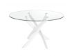 DINING TABLE BIW